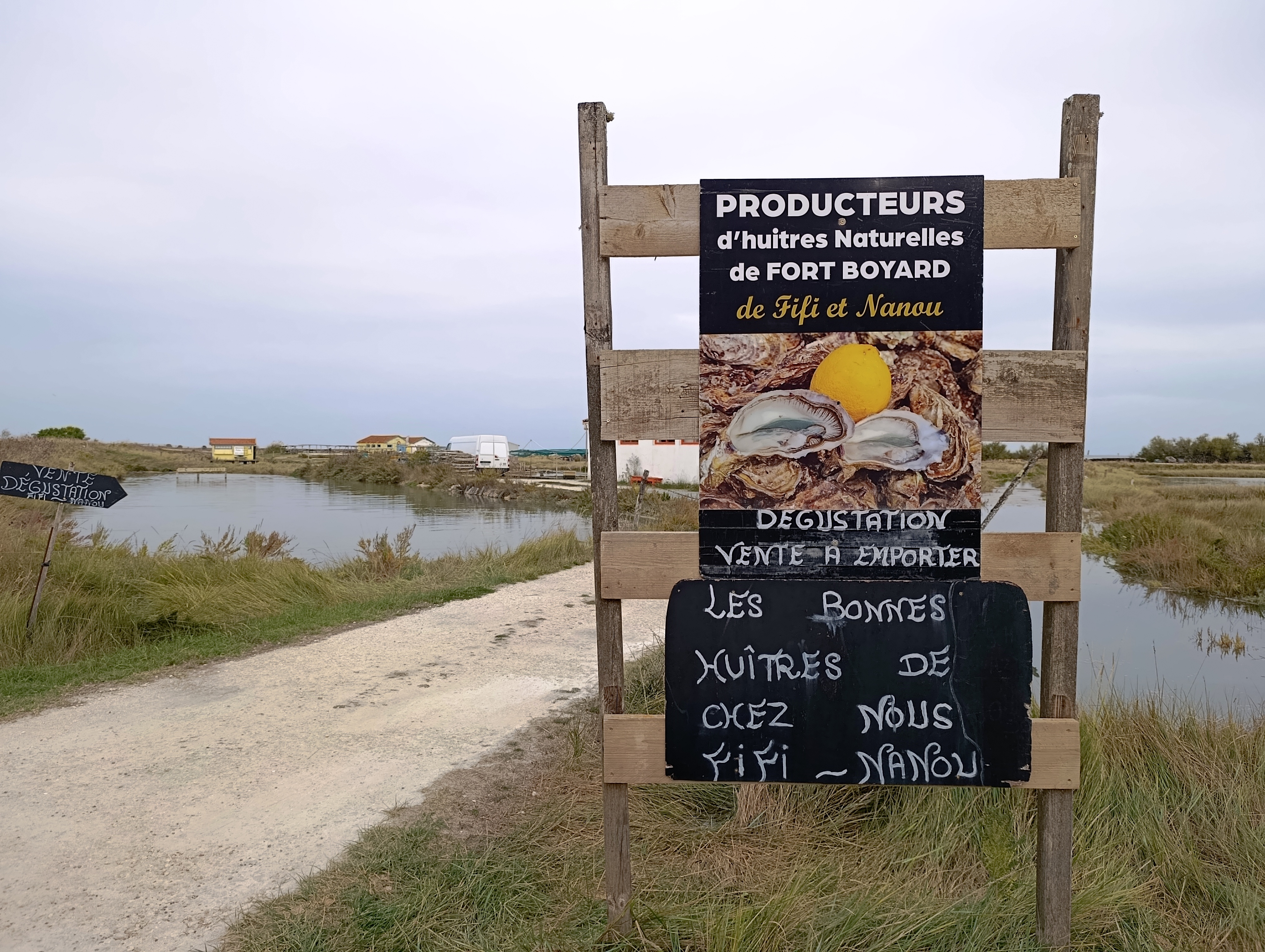 Dégustation d’huîtres chez Fifi et Nanou dans les marais de Fort-Royer