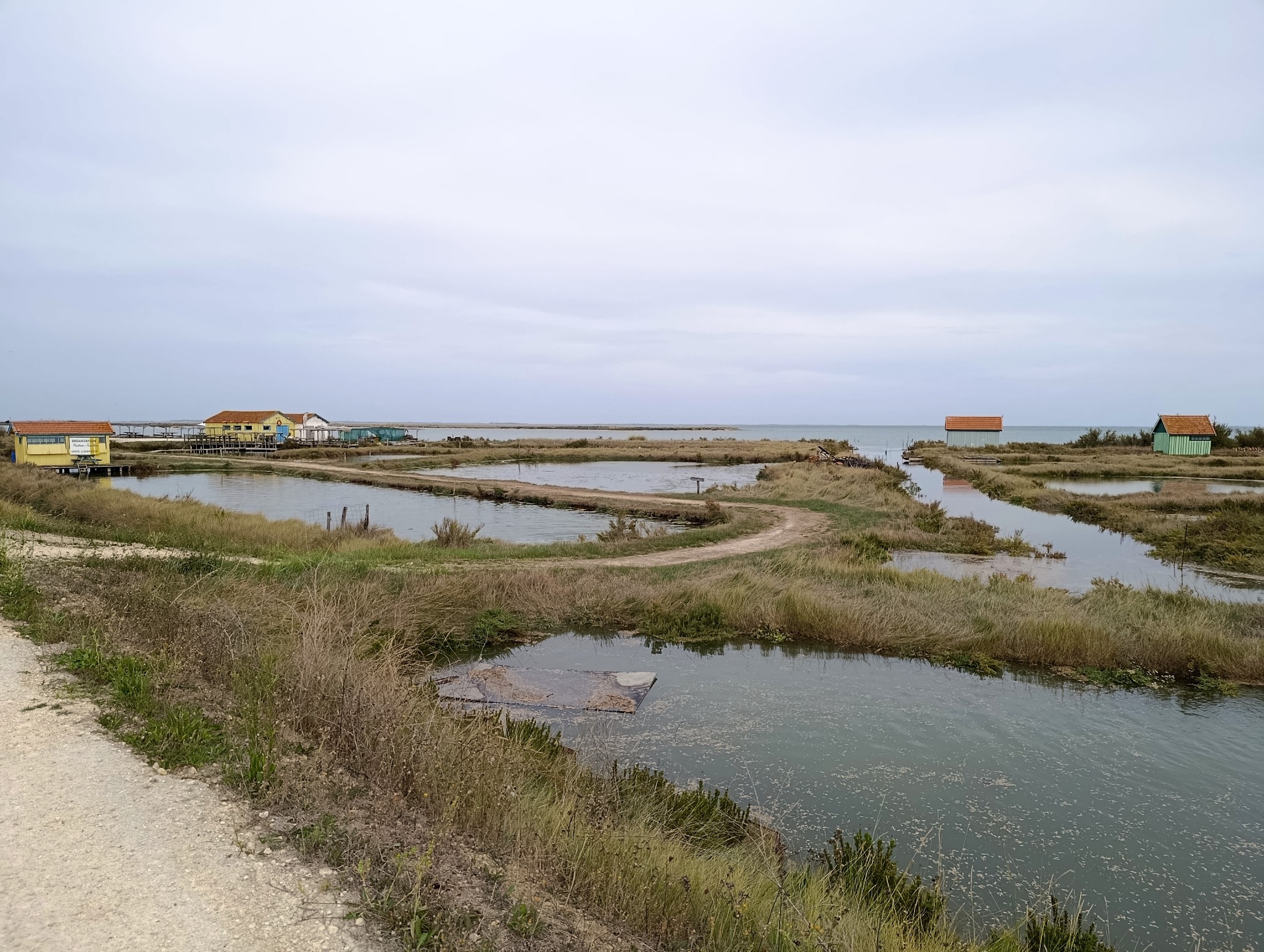 Bassins ostréicoles et petits chemins entre les marais et la mer à Fort-Royer