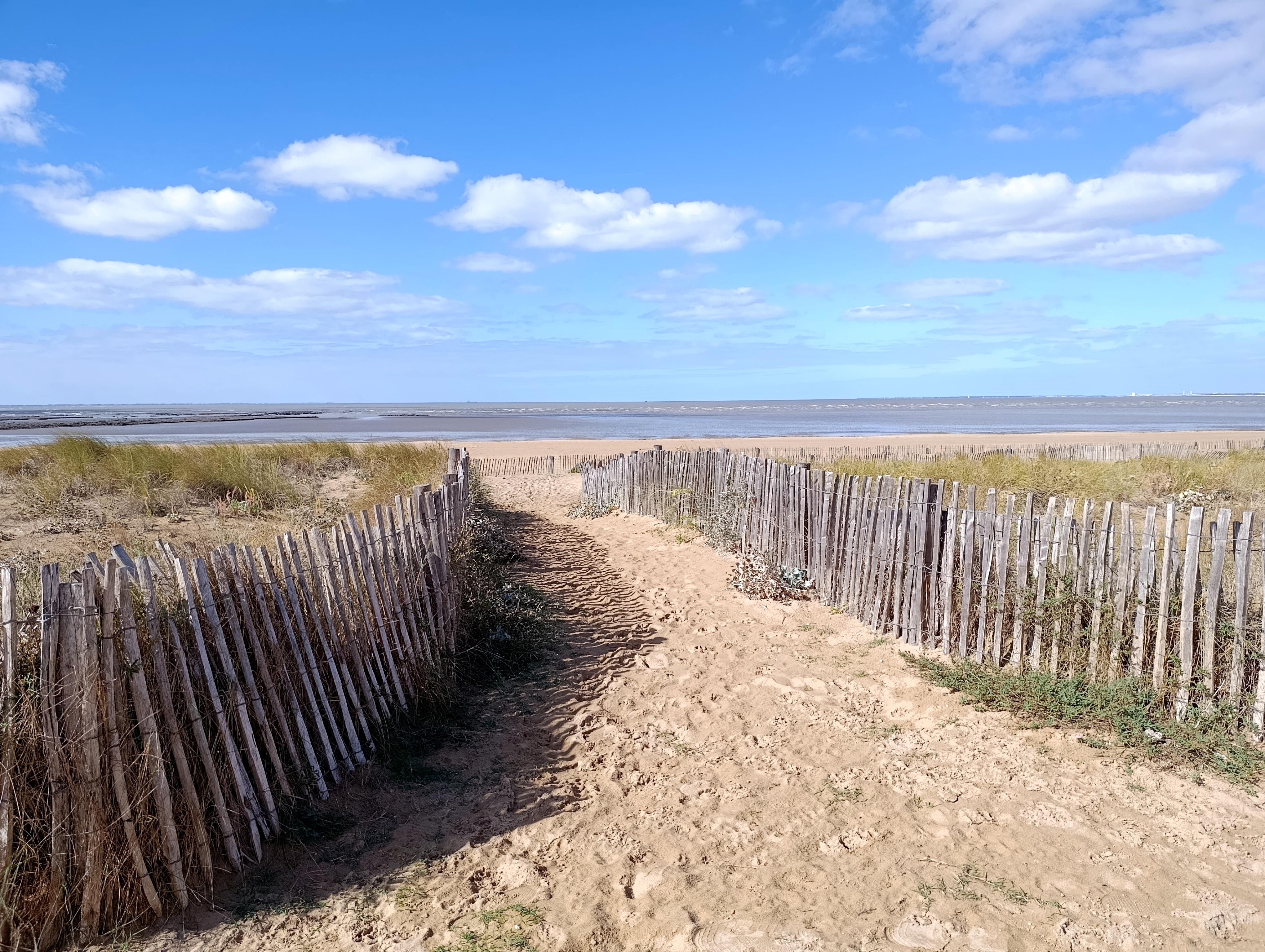 Chemin de sable entre les ganivelles, ouvert sur la plage et l’océan